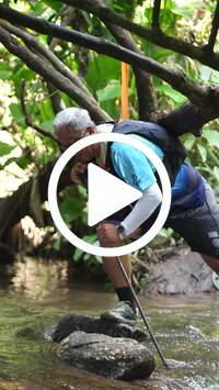 BIB:  <button type="button" onclick="openModal(27823029)" class="btn btn-primary btn-sm float-right" data-toggle="modal" data-target=".modal-high-quality">
                <i class="fa fa-download"></i> Download
                </button>